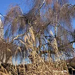 Magnifique F2 Vosges La Voge-les-bains Apartmán *