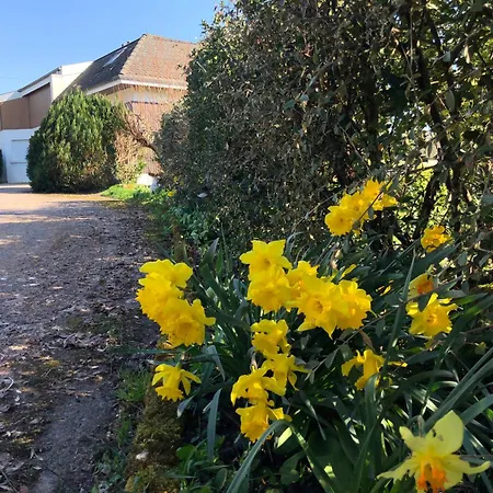 Magnifique F2 Vosges La Voge-les-bains Apartmán *