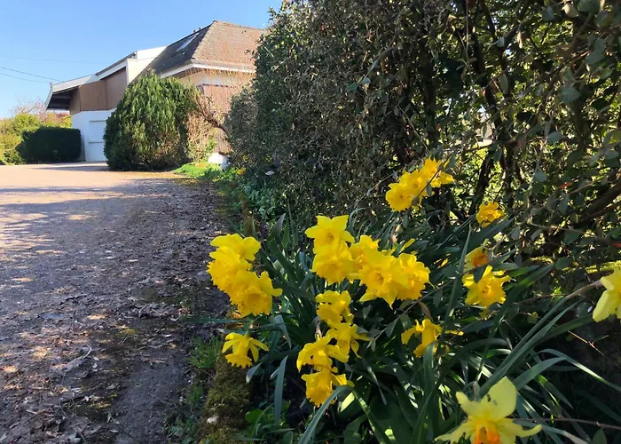 Logement f2 Bains les bains La Chapelle Appartement *