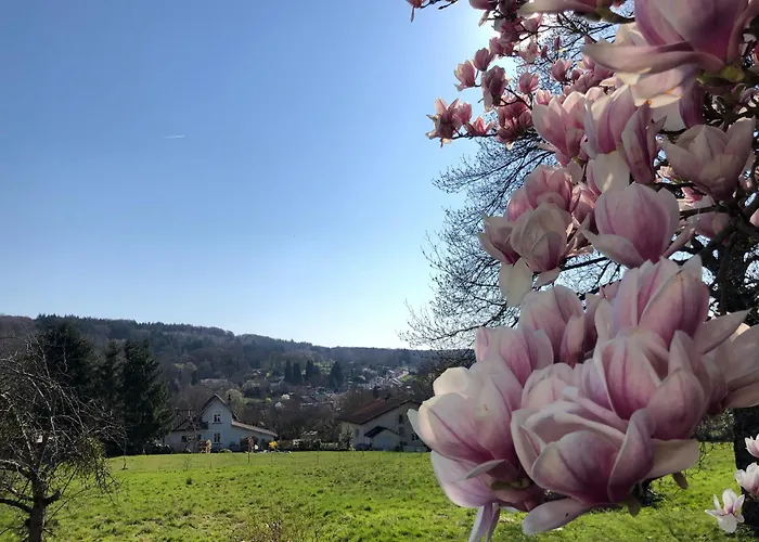 Logement f2 Bains les bains La Chapelle