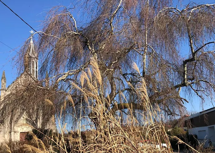 Logement f2 Bains les bains La Chapelle Appartement *